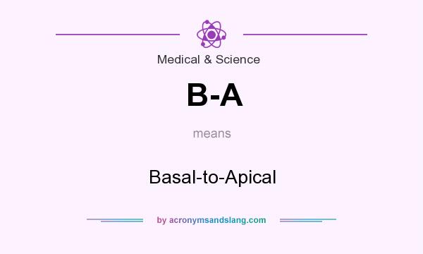 What does B-A mean? It stands for Basal-to-Apical