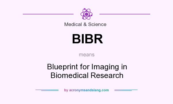 What does BIBR mean? It stands for Blueprint for Imaging in Biomedical Research