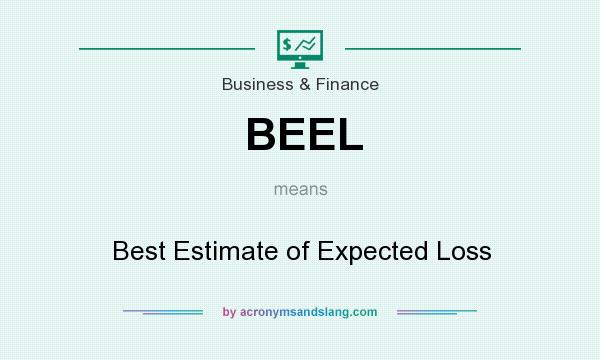 What does BEEL mean? It stands for Best Estimate of Expected Loss