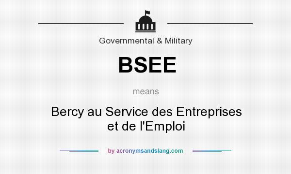 What does BSEE mean? It stands for Bercy au Service des Entreprises et de l`Emploi