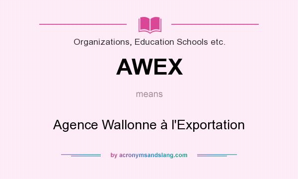 What does AWEX mean? It stands for Agence Wallonne à l`Exportation