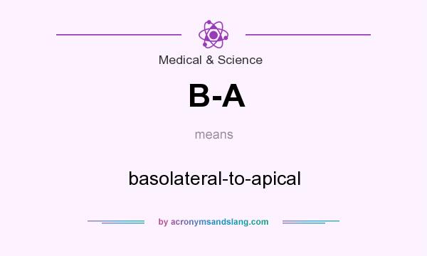 What does B-A mean? It stands for basolateral-to-apical