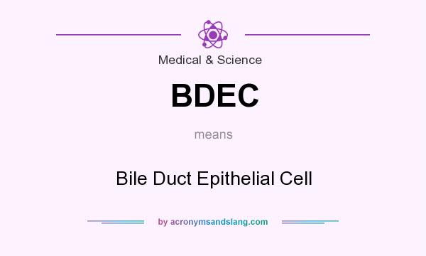 What does BDEC mean? It stands for Bile Duct Epithelial Cell