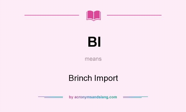 What does BI mean? It stands for Brinch Import