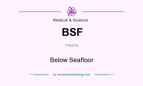 What does BSF mean? It stands for Below Seafloor