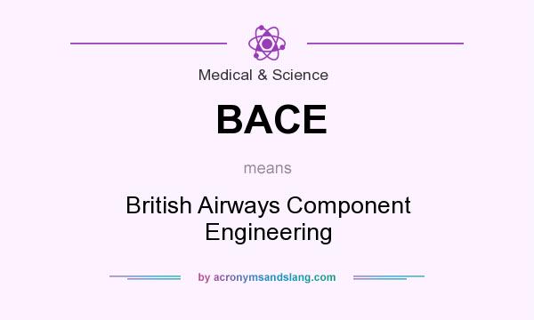 What does BACE mean? It stands for British Airways Component Engineering