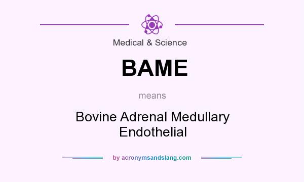 What does BAME mean? It stands for Bovine Adrenal Medullary Endothelial