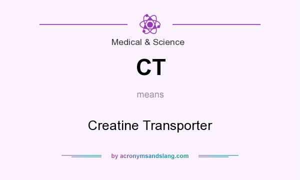 What does CT mean? It stands for Creatine Transporter