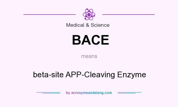What does BACE mean? It stands for beta-site APP-Cleaving Enzyme