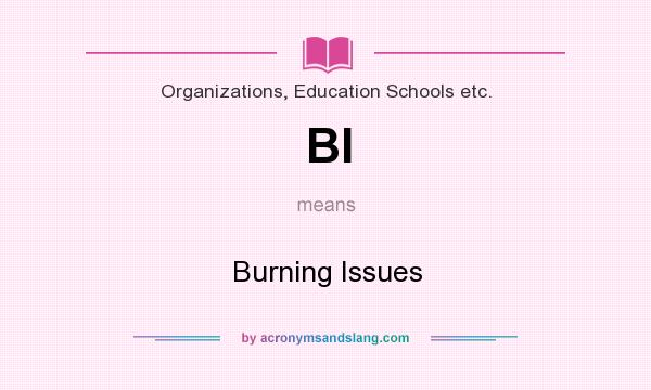 What does BI mean? It stands for Burning Issues