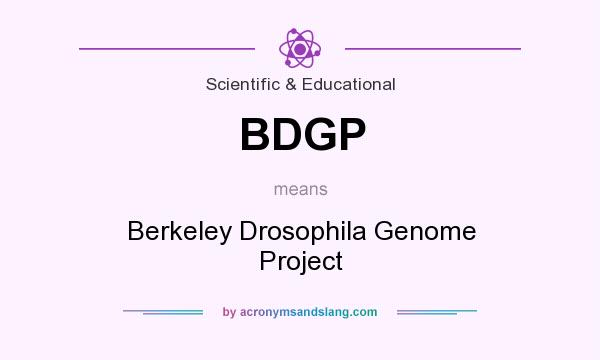What does BDGP mean? It stands for Berkeley Drosophila Genome Project