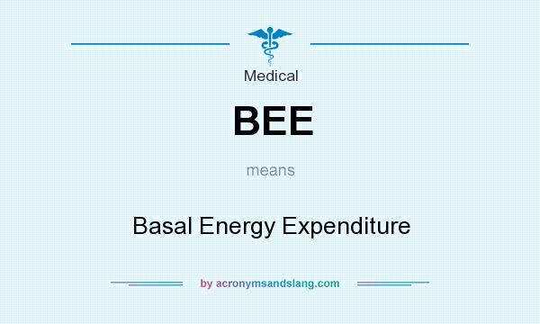 What does BEE mean? It stands for Basal Energy Expenditure