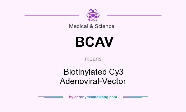 What does BCAV mean? It stands for Biotinylated Cy3 Adenoviral-Vector