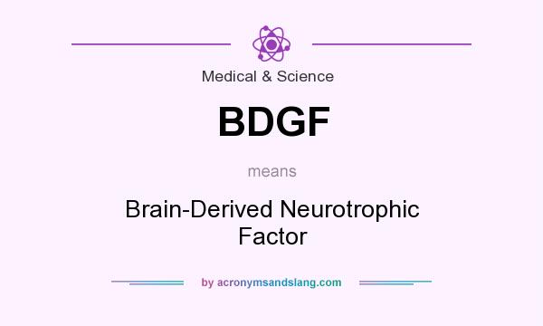 What does BDGF mean? It stands for Brain-Derived Neurotrophic Factor