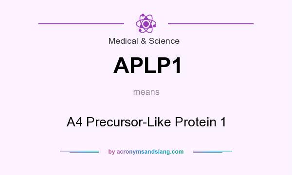 What does APLP1 mean? It stands for A4 Precursor-Like Protein 1