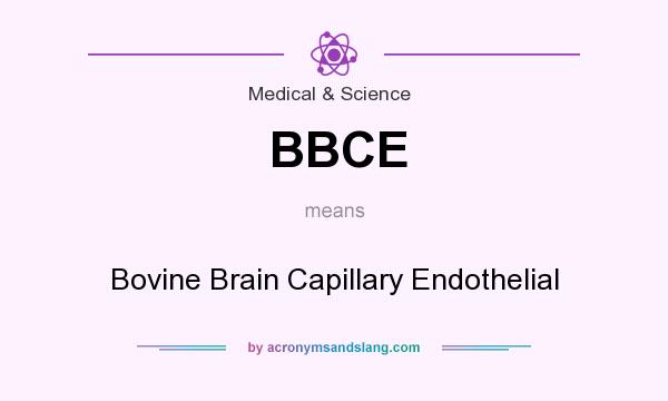What does BBCE mean? It stands for Bovine Brain Capillary Endothelial