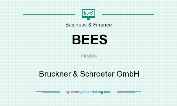 What does BEES mean? It stands for Bruckner & Schroeter GmbH
