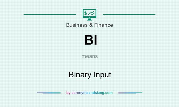 What does BI mean? It stands for Binary Input