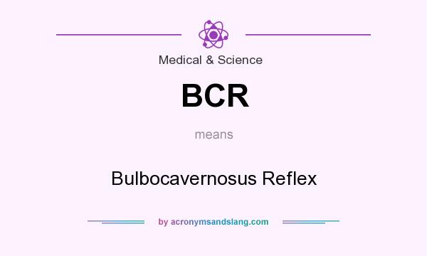 What does BCR mean? It stands for Bulbocavernosus Reflex