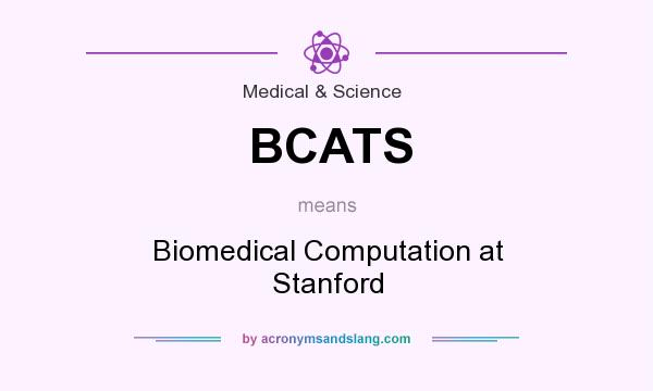 What does BCATS mean? It stands for Biomedical Computation at Stanford