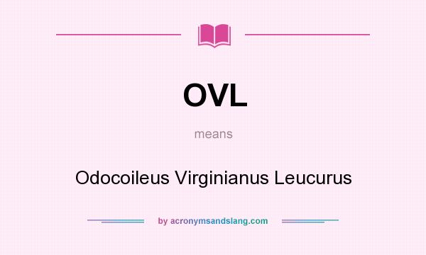What does OVL mean? It stands for Odocoileus Virginianus Leucurus