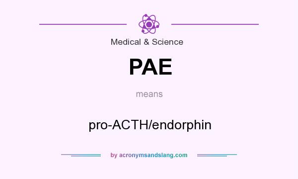 What does PAE mean? It stands for pro-ACTH/endorphin