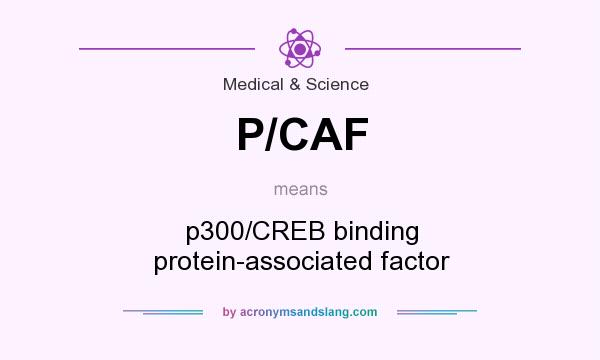 What does P/CAF mean? It stands for p300/CREB binding protein-associated factor