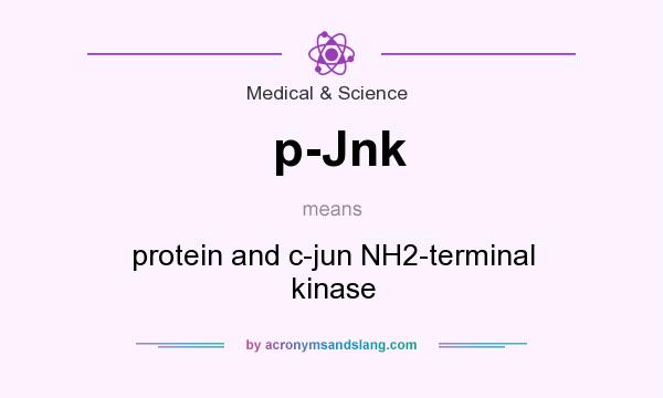 What does p-Jnk mean? It stands for protein and c-jun NH2-terminal kinase