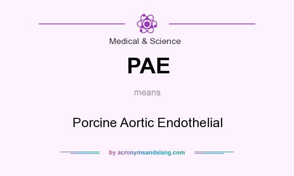 What does PAE mean? It stands for Porcine Aortic Endothelial