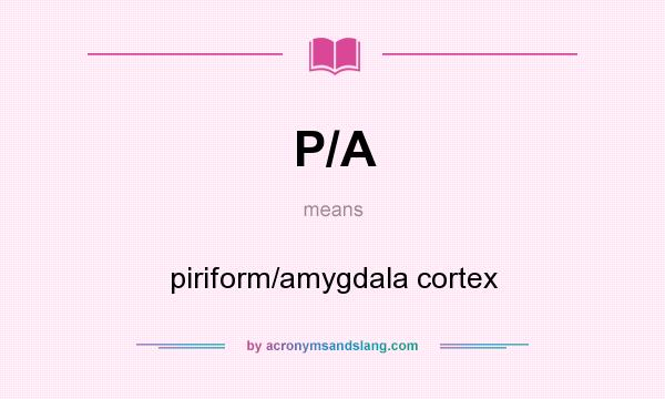 What does P/A mean? It stands for piriform/amygdala cortex