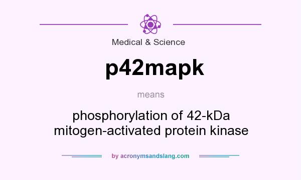 What does p42mapk mean? It stands for phosphorylation of 42-kDa mitogen-activated protein kinase