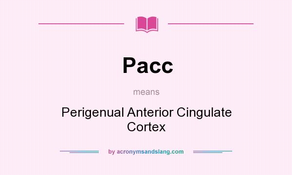 What does Pacc mean? It stands for Perigenual Anterior Cingulate Cortex