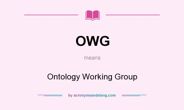 What does OWG mean? It stands for Ontology Working Group