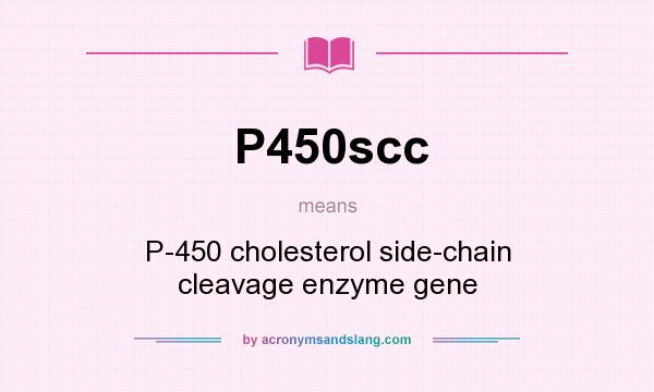 What does P450scc mean? It stands for P-450 cholesterol side-chain cleavage enzyme gene