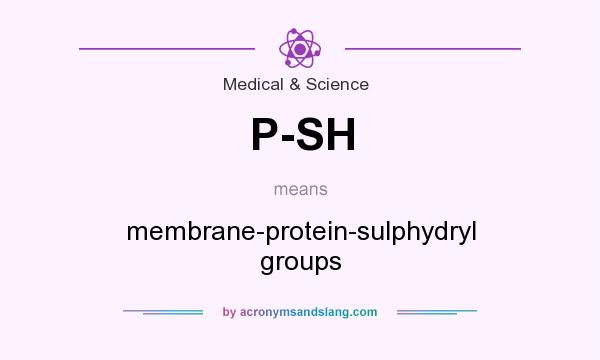 What does P-SH mean? It stands for membrane-protein-sulphydryl groups