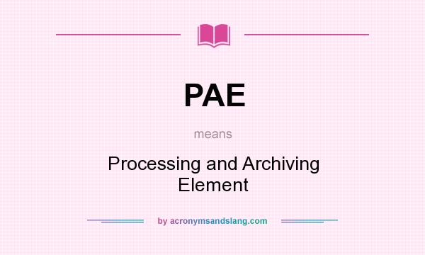 What does PAE mean? It stands for Processing and Archiving Element