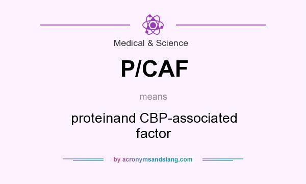 What does P/CAF mean? It stands for proteinand CBP-associated factor