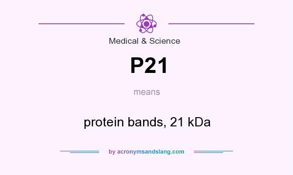 What does P21 mean? It stands for protein bands, 21 kDa