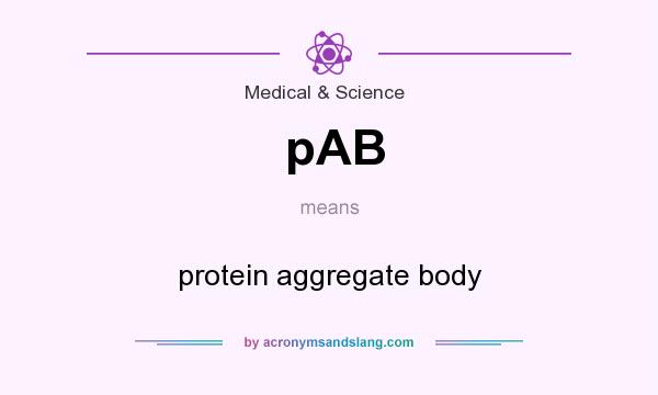 What does pAB mean? It stands for protein aggregate body