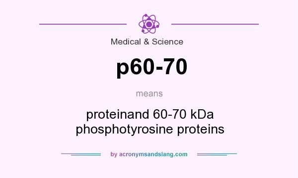 What does p60-70 mean? It stands for proteinand 60-70 kDa phosphotyrosine proteins