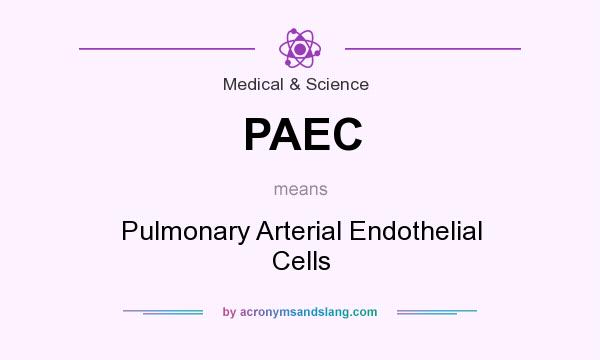 What does PAEC mean? It stands for Pulmonary Arterial Endothelial Cells