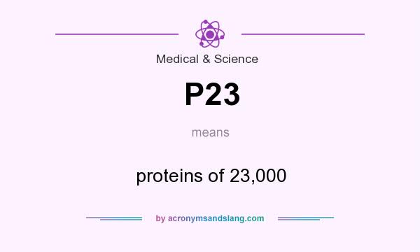 What does P23 mean? It stands for proteins of 23,000