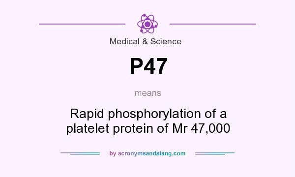 What does P47 mean? It stands for Rapid phosphorylation of a platelet protein of Mr 47,000