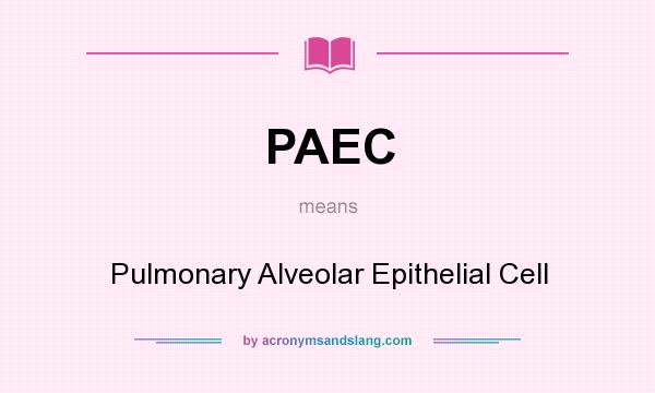 What does PAEC mean? It stands for Pulmonary Alveolar Epithelial Cell