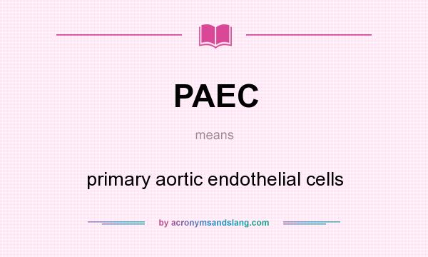 What does PAEC mean? It stands for primary aortic endothelial cells