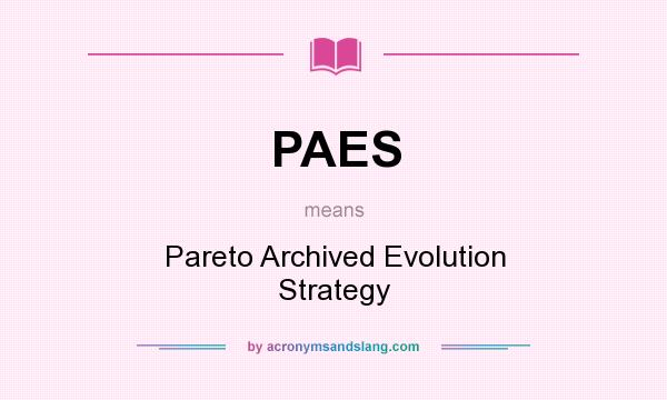 What does PAES mean? It stands for Pareto Archived Evolution Strategy