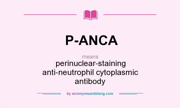 What does P-ANCA mean? It stands for perinuclear-staining anti-neutrophil cytoplasmic antibody
