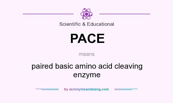What does PACE mean? It stands for paired basic amino acid cleaving enzyme