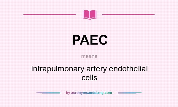 What does PAEC mean? It stands for intrapulmonary artery endothelial cells