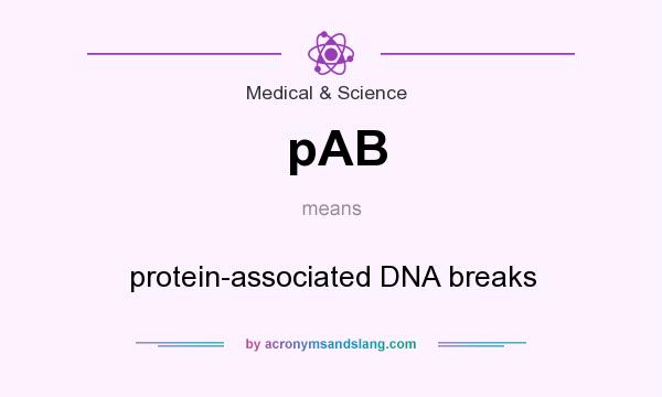 What does pAB mean? It stands for protein-associated DNA breaks